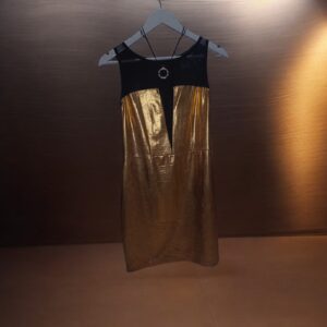 Vestido Plateado con Transparencia en Tul